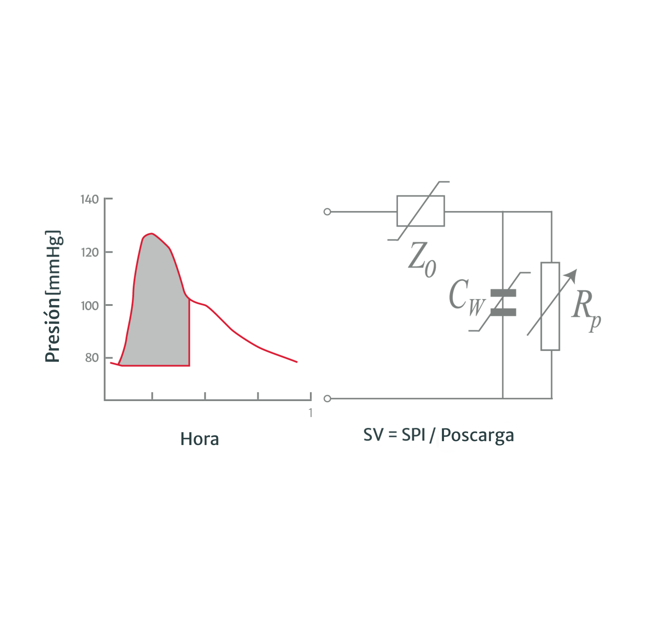 C&aacute;lculo del gasto cardiaco